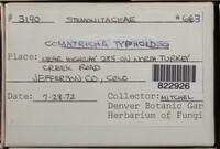 Image Associated With the Occurence